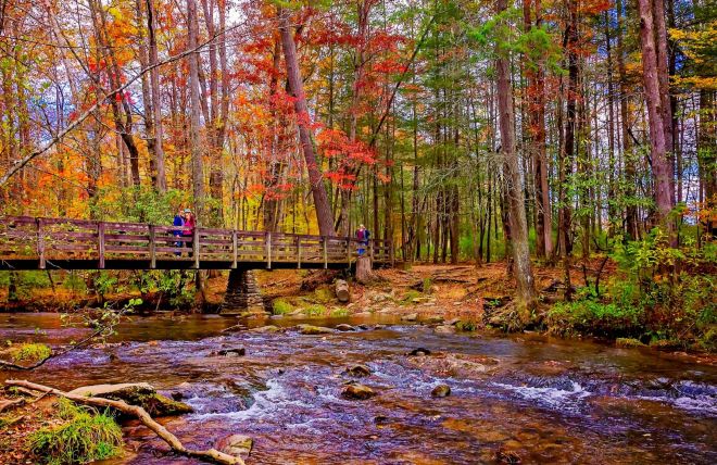 A Complete Guide to October in the Smokies, Week by Week