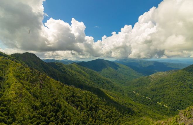 Chimney Tops Trail: What to Expect Since the Summit Closure
