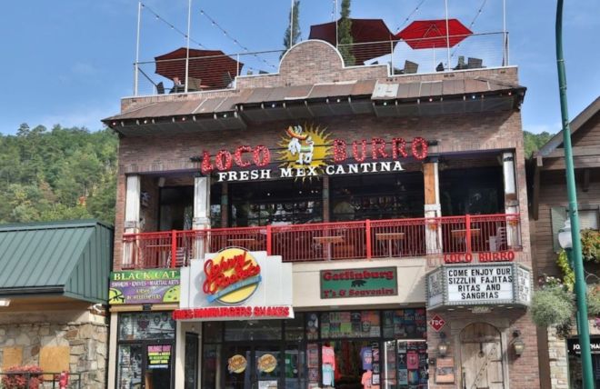 Image for Thing To Do Loco Burro