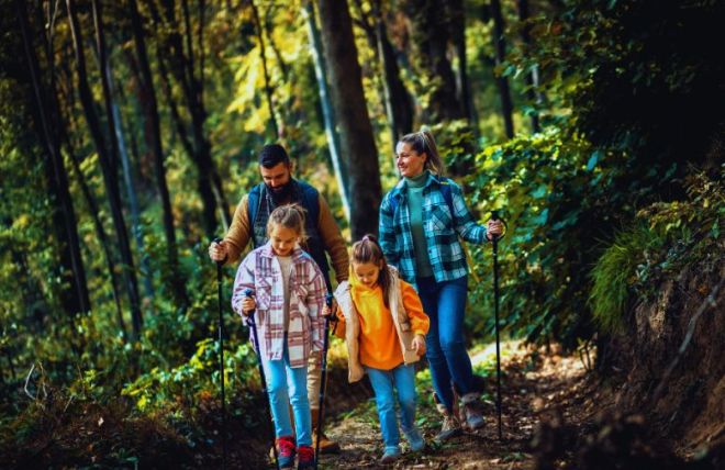4 Beginner-Friendly Hikes in the Smoky Mountains