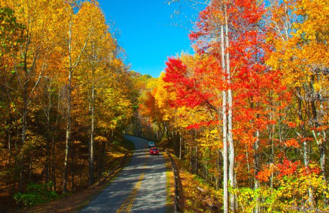 Accessible Smokies: Mobility-Friendly Trails, Attractions and Cabin Features