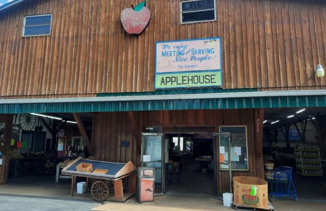 A Guide to Smoky Mountain U-Pick Orchards and Apple Season