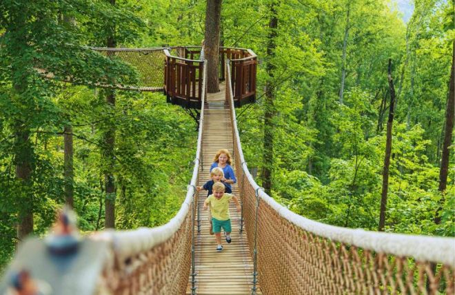 6 Things to Do as a Family in Gatlinburg