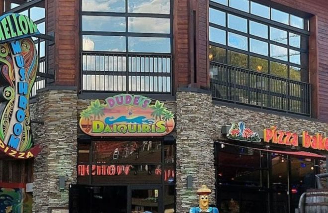 Image for Thing To Do Mellow Mushroom