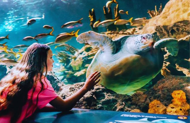 7 Fun Gatlinburg Indoor Activities for Rainy Days