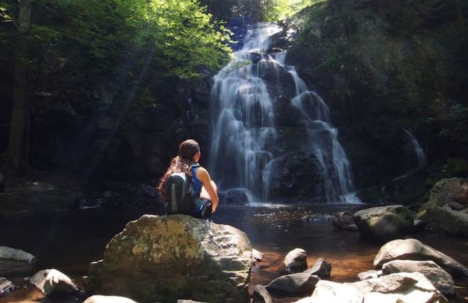 Forest Bathing in the Smokies: A Beginner's Guide
