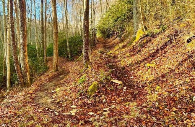 Image for Thing To Do Jakes Creek Trail