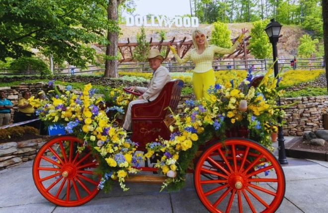 5 Cabins for Rent Just Minutes from Dollywood