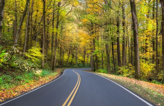 Baltimore to the Smokies: The Complete Road Trip Guide