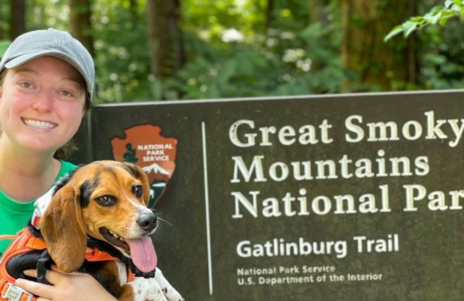 Where Dogs Are and Aren’t Allowed in the National Park