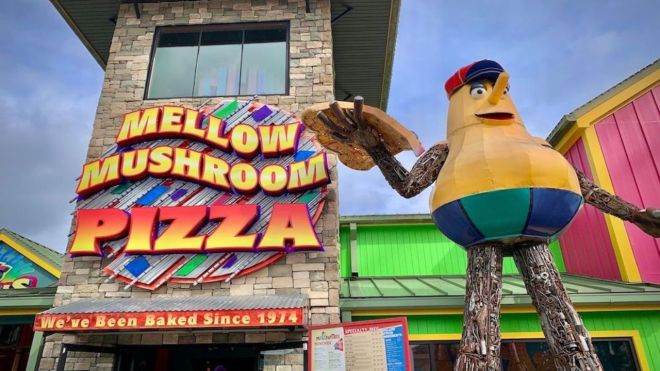 Top 4 Pizza Places in Pigeon Forge