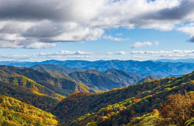 Image for Thing To Do Fall in the Great Smoky Mountains