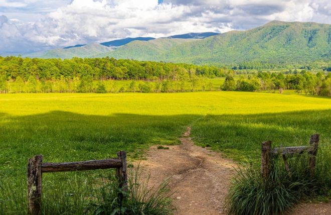 Image for Thing To Do Cades Cove