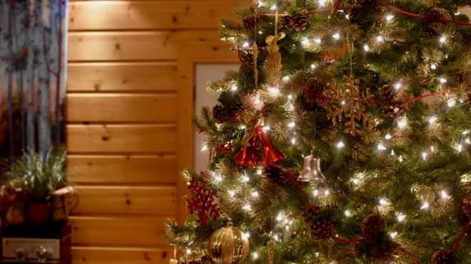 Maximizing Profits: A Guide to Pricing Your Cabin for the Holiday Season