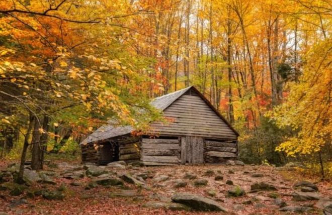 Photographing Fall Color in the Smokies: A Technique Guide