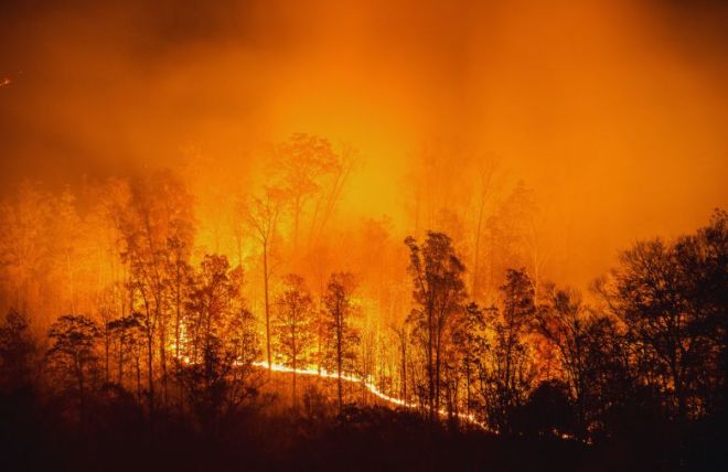 Remembering the 2016 Gatlinburg Fire