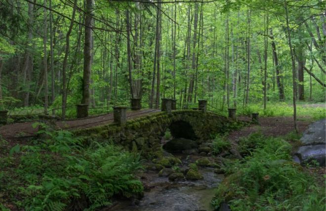 How to Find the Troll Bridge in the Smoky Mountains