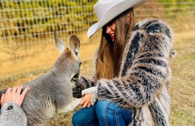 Best Animal Attractions in the Smoky Mountains (Family Guide)