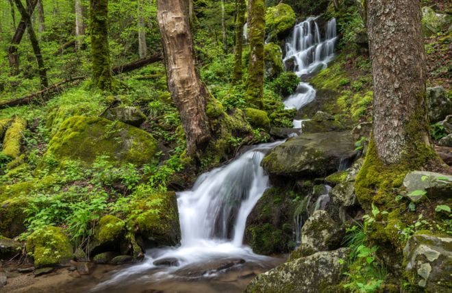 Cosby and Greenbrier: The Smokies' Overlooked Entrances