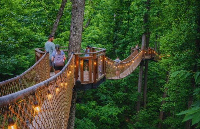 Family Day at Anakeesta – Top Things to See, Eat, and Do