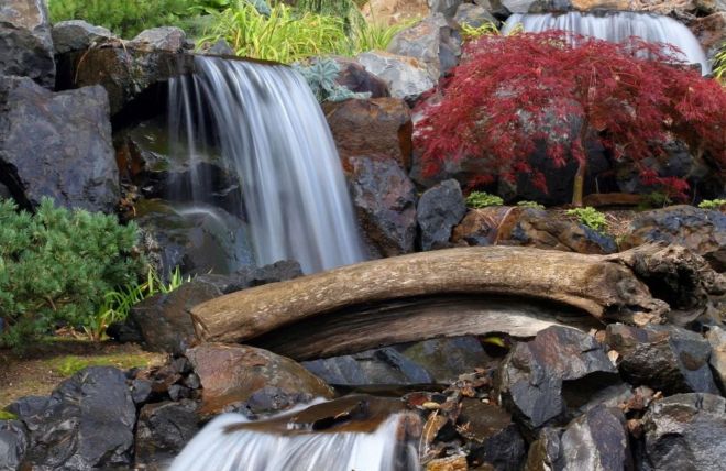 Waterfalls, Ponds, and Landscaping Features That Wow Guests