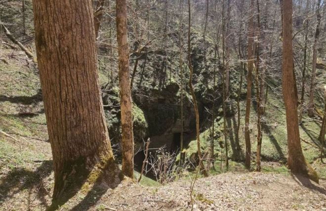 Image for Thing To Do Beard Cane Trail