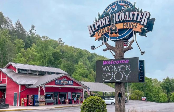 Image for Thing To Do Smoky Mountain Alpine Coaster