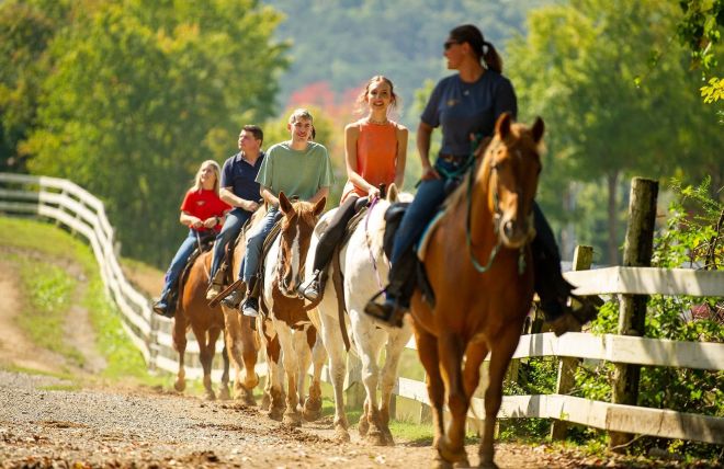 Top 8 Kid-Friendly Attractions in Sevierville TN