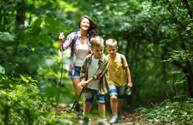 Nature Journaling with Kids in the Smokies