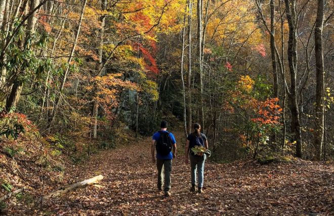 Grapeyard Ridge Trail: A Complete Guide