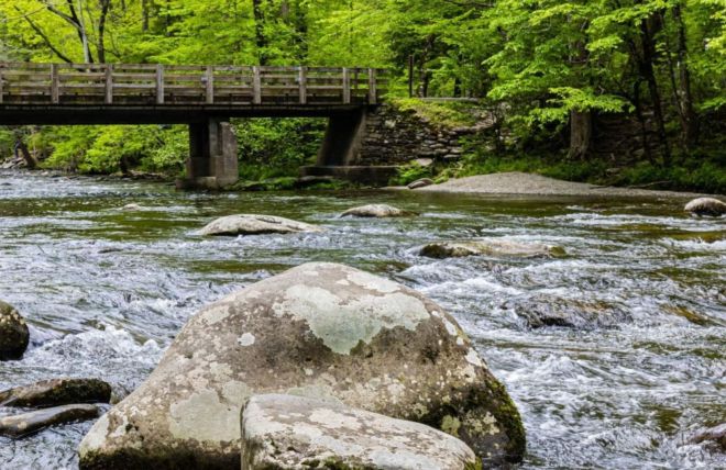 Image for Thing To Do Picnic Spots in the Smoky Mountains