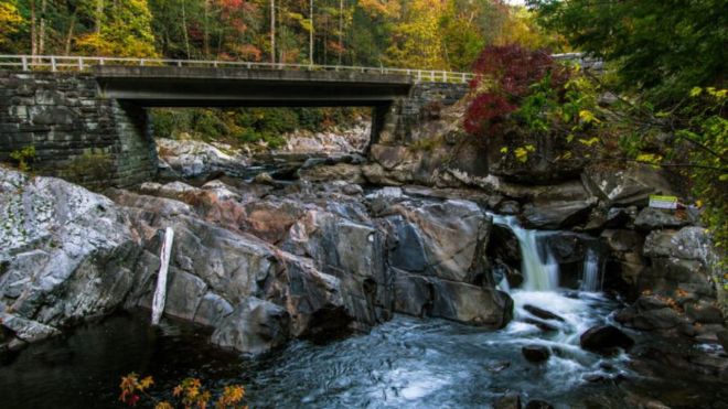 Popular Stops Along Little River Road