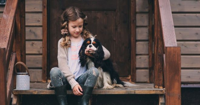 Making Your Short-term Rental Pet Friendly: 5 Things to Consider