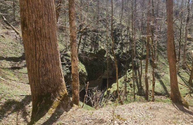 Image for Thing To Do Beard Cane Trail